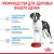 Royal Canin Giant Junior корм сухой для щенков очень крупных размеров до 8 месяцев