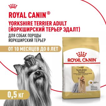 Корм для котят Royal Canin Kitten Корм сухой сбалансированный период второй фазы роста