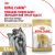 Корм для котят Royal Canin Kitten Корм сухой сбалансированный период второй фазы роста