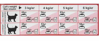 Royal Canin Fit 32 корм сухой сбалансированный для взрослых умеренно активных кошек от 1 года
