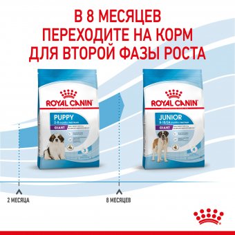 Royal Canin Giant Puppy корм сухой для щенков очень крупных размеров до 8 месяцев