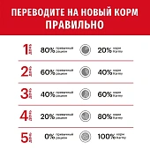 Сухой Корм Karmy Medium Junior для щенков средних пород с телятиной Сухой Корм Karmy Medium Junior для щенков средних пород с телятиной