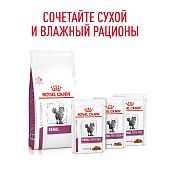 Паучи Royal Canin Renal для кошек для поддержания функции почек с говядиной в соусе