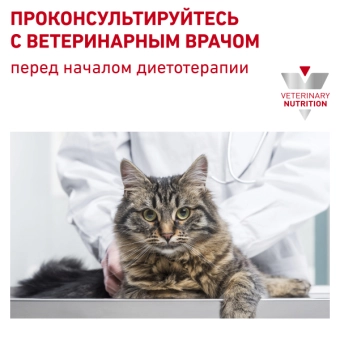 Royal Canin Gastrointestinal Moderate Calorie GIM 35 Feline корм сухой для кошек при расстройствах пищеварения