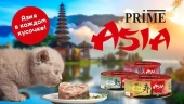 Банки Prime Asia для кошек с тунцом и сибасом в желе