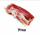 Сухой Корм Alleva Holistic Cat Neutered Chicken & Duck для стерил. кошек с курицей и уткой, волокнами сахарного тростника Сухой Корм Alleva Holistic Cat Neutered Chicken & Duck для стерил. кошек с курицей и уткой, волокнами сахарного тростника