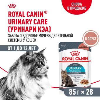 Паучи Royal Canin Urinary Care для взрослых кошек для поддержания здоровья МКБ системы мелкие кусочки в соусе