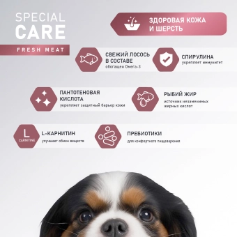 Корм Award Special Care Sensitive Skin&Coat для взрослых собак всех пород для здоровой кожи и шерсти со свежим лососем