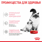 Консервы Royal Canin Babycat Instinctive (мусс) для котят с момента рождения до 4...