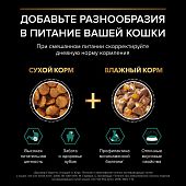 Влажный корм PRO PLAN® Sterilised MAINTENANCE для взрослых стерилизованных кошек, кусочки с говядиной в желе Влажный корм PRO PLAN® Sterilised MAINTENANCE для взрослых стерилизованных кошек, кусочки с говядиной в желе