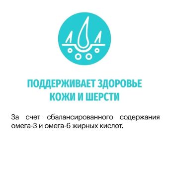 Корм Karmy Hypoallergenic Mini гипоаллергенный для собак мелких пород с ягнёнком