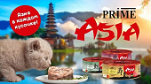 Банки Prime Asia для кошек с тунцом и креветки в желе