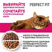 Сухой Корм Perfect Fit для кошек для поддержания здоровья почек с лососем