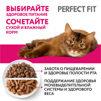 Корм Perfect Fit для кошек для поддержания здоровья почек с лососем
