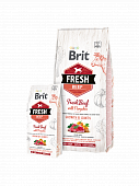 Сухой Корм Brit Fresh Puppy Large Breed Bones & Joints для щенков крупных пород с говядиной и тыквой Сухой Корм Brit Fresh Puppy Large Breed Bones & Joints для щенков крупных пород с говядиной и тыквой