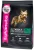 Eukanuba Adult Toy Breed 1+ years корм сухой для взрослых собак миниатюрных пород от года и старше Eukanuba Adult Toy Breed 1+ years корм сухой для взрослых собак миниатюрных пород от года и старше