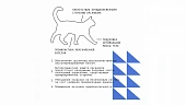 Сухой Корм AJO Cat Grand Master для кошек старшего возраста Сухой Корм AJO Cat Grand Master для кошек старшего возраста
