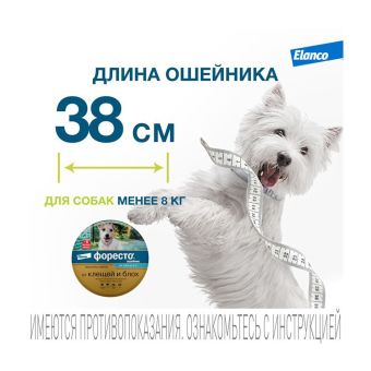 Водостойкий ошейник Форесто для собак до 8 кг от клещей, блох и вшей