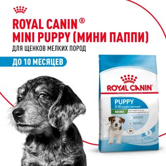 Корм для собак Royal Canin Корм Mini Puppy сухой для щенков мелких размеров до 8 месяцев