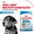 Корм для собак Royal Canin Корм Mini Puppy сухой для щенков мелких размеров до 8 месяцев