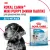 Корм для собак Royal Canin Корм Mini Puppy сухой для щенков мелких размеров до 8 месяцев Корм для собак Royal Canin Корм Mini Puppy сухой для щенков мелких размеров до 8 месяцев