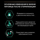 Влажный корм PRO PLAN® Sterilised MAINTENANCE для взрослых стерилизованных кошек, кусочки с говядиной в желе Влажный корм PRO PLAN® Sterilised MAINTENANCE для взрослых стерилизованных кошек, кусочки с говядиной в желе